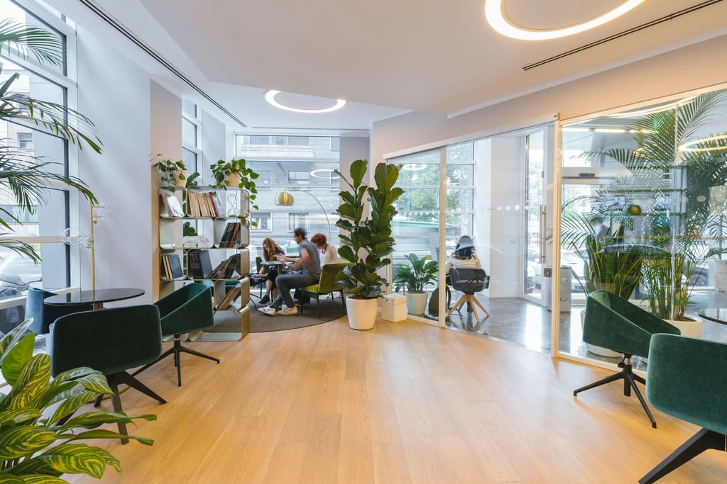 A minimal office interior with plants, pale walls and clear, open floor space.